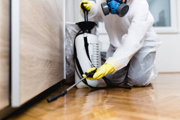 Best Pest Prevention Services  in Suncoast Estates, FL