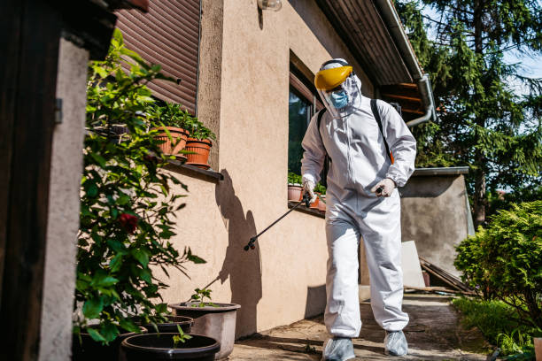 Best Mosquito Control Services  in Suncoast Estates, FL