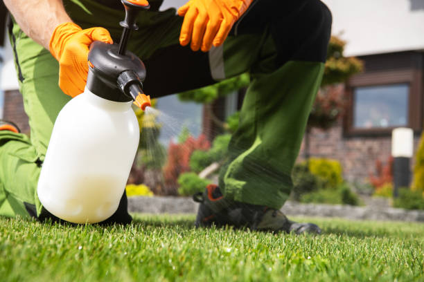 Best Ant Control Services  in Suncoast Estates, FL