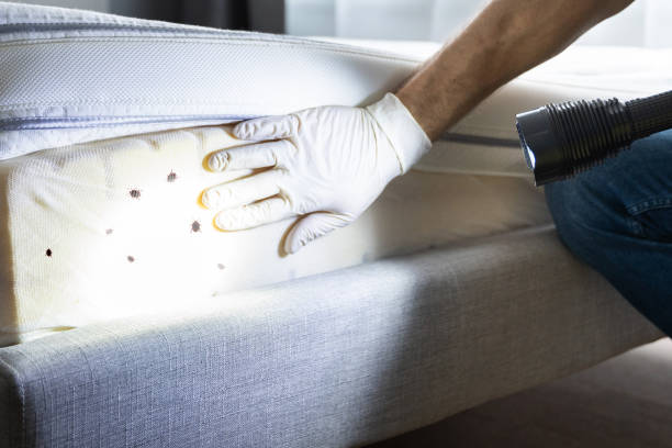 Best Best Pest Control Companies  in Suncoast Estates, FL