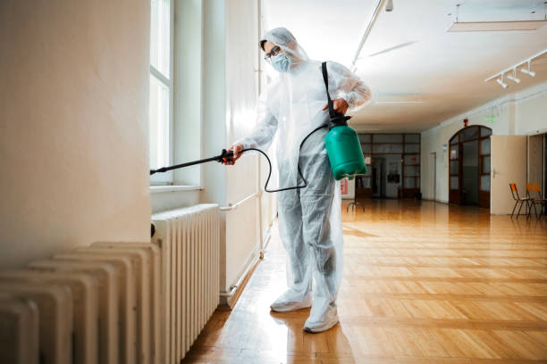 Best Ant Control Services  in Suncoast Estates, FL