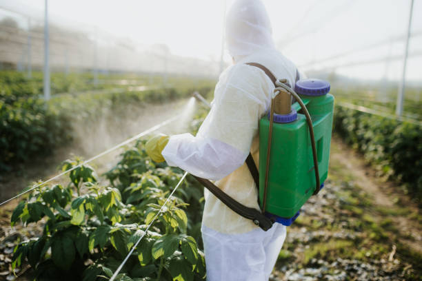 Best Affordable Pest Control Services  in Suncoast Estates, FL